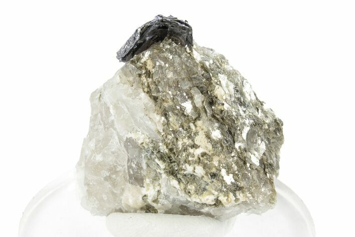 Gleaming Molybdenite in Quartz - La Corne, Canada #247814